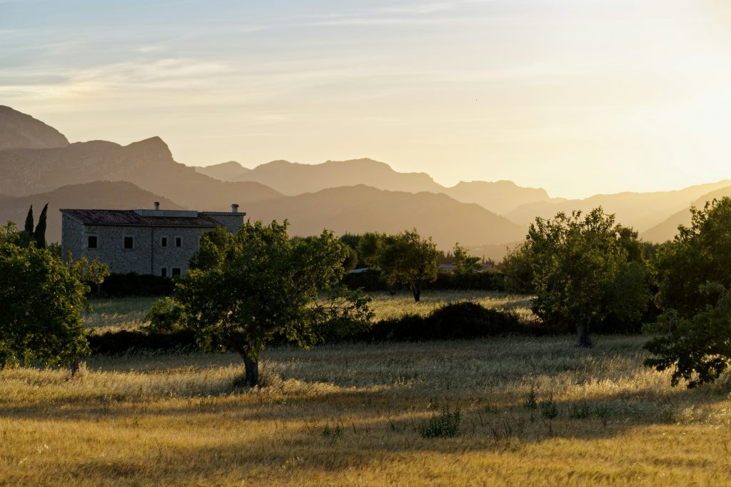 vista de casa rural rodeado de olivos